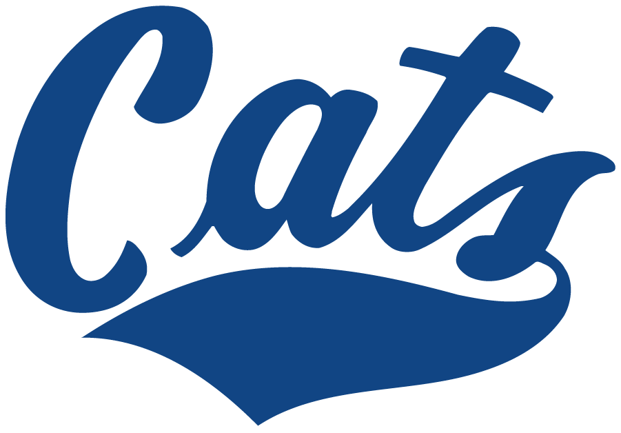 Montana State Bobcats 1982-1995 Wordmark Logo iron on transfers for clothing